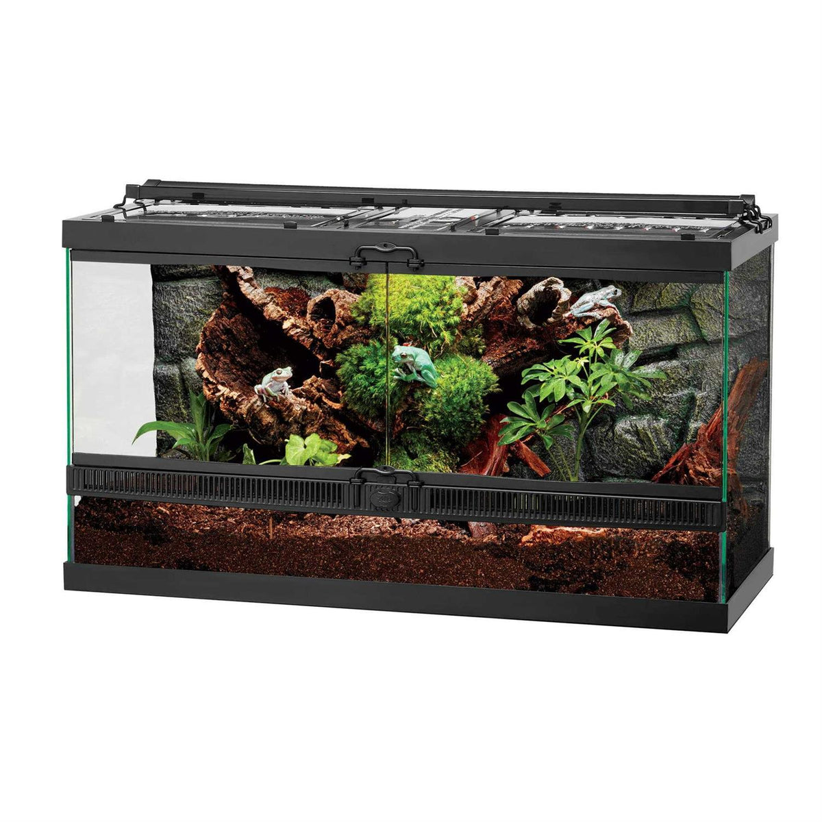 Front Terrarium M262990
