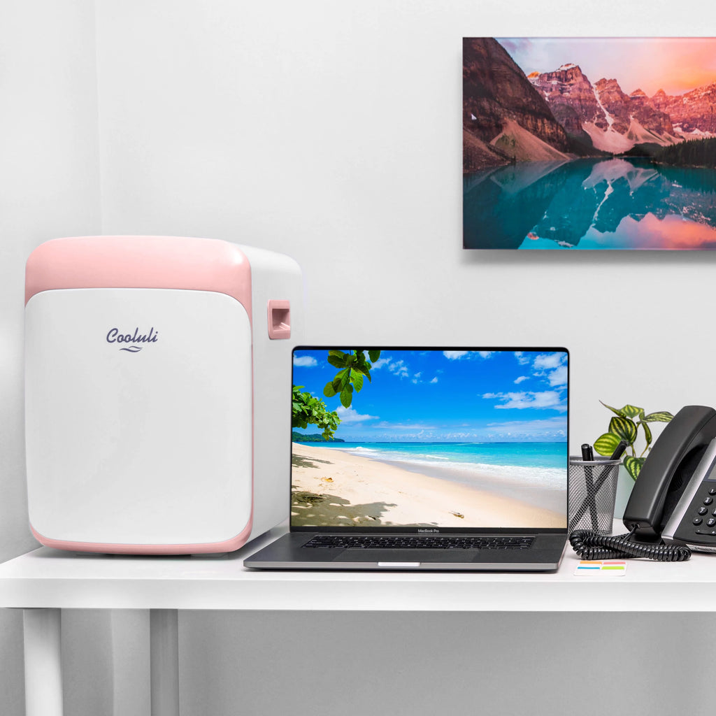 Pink 15 Liter Compact Portable Cooler Warmer Mini Fridge B6387