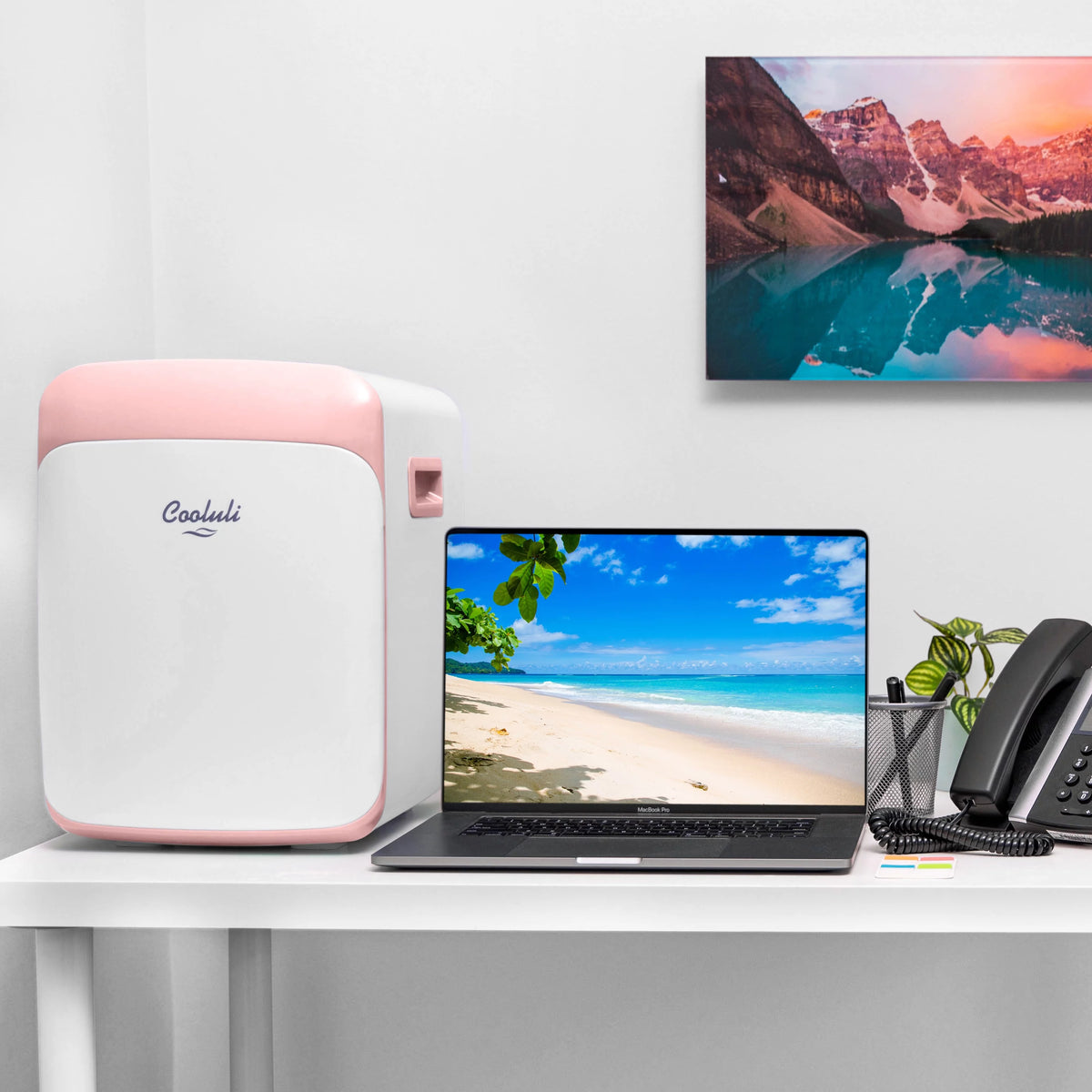 Pink 15 Liter Compact Portable Cooler Warmer Mini Fridge B6387