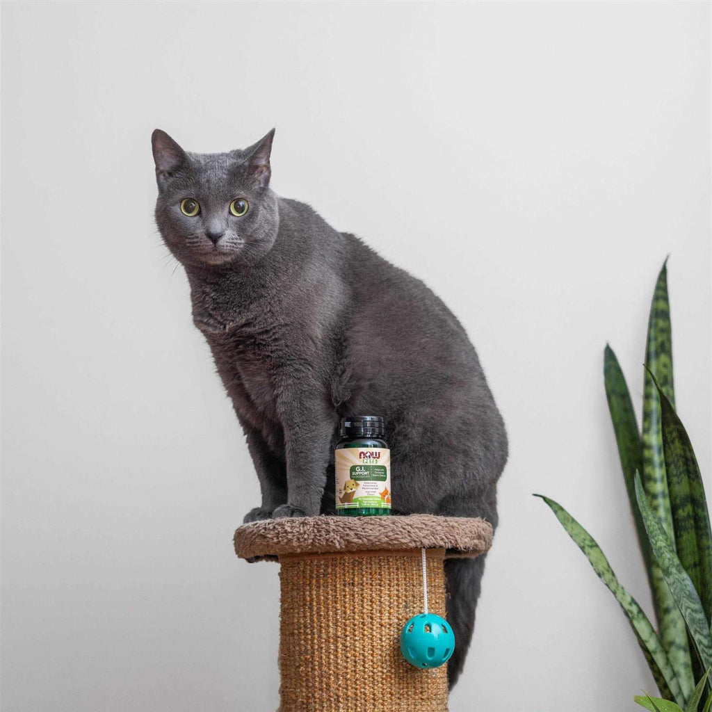 Pet Supplies R548695