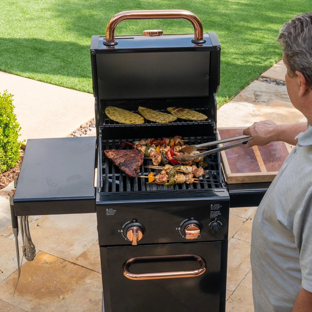 2-Burner Compact Propane Gas Grill with Foldable Sides Z1356