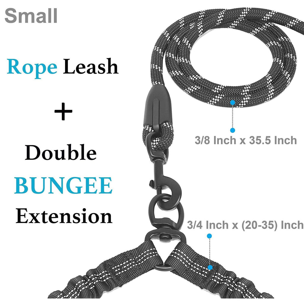 Double Dog Leash 360 Swivel No Tangle L198279
