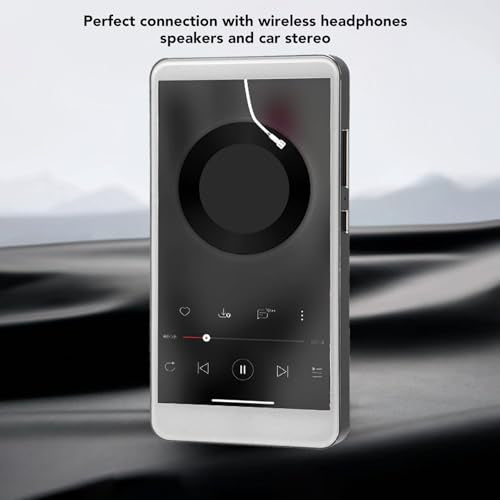 256GB Bluetooth MP3 Player with Speaker C91190