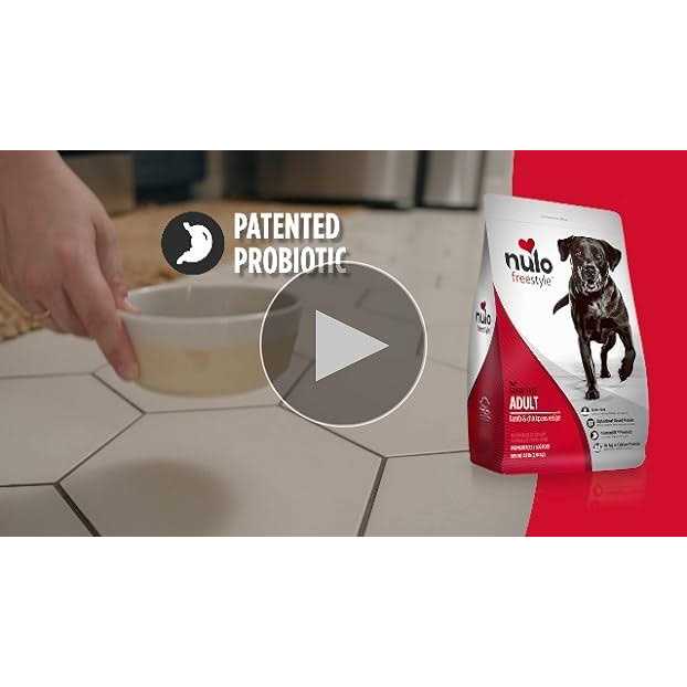 Grain-Free Dry Dog Food T435429