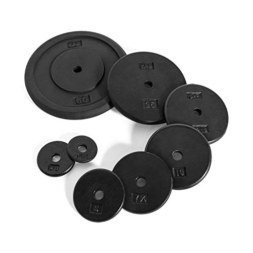 Cast Iron Standard 1-Inch Weight Plates T5197