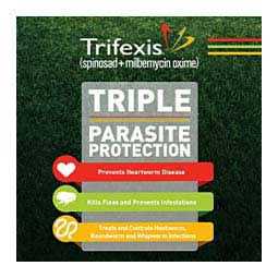 Trifexis for Dogs N49878