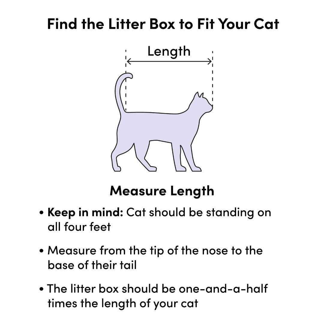 Disposable Cat Litter Box X5773