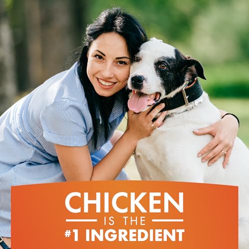 Chicken Jerky Dog Treats 16 oz L779522