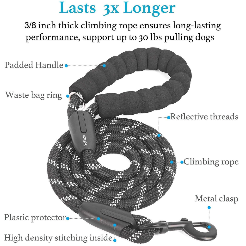Double Dog Leash 360 Swivel No Tangle L198279