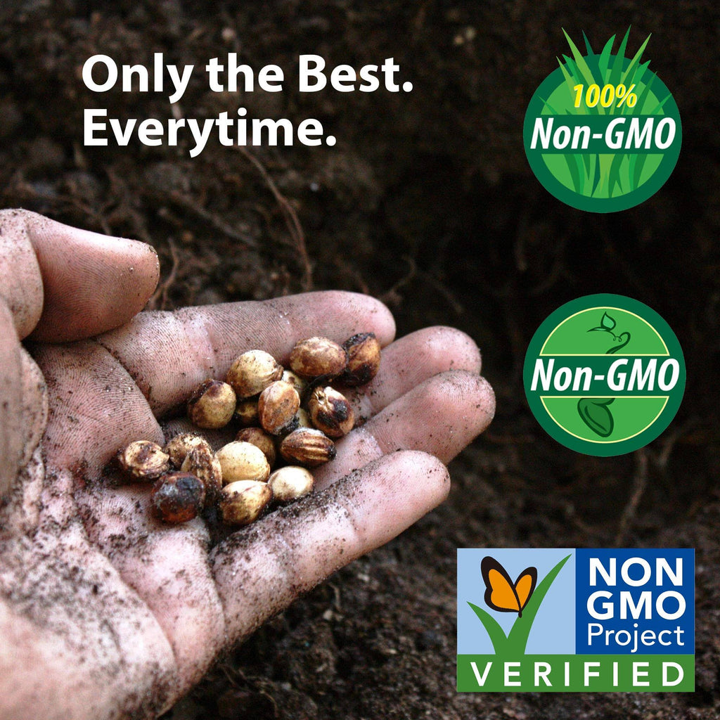 25 lb Bulk Non-GMO Corn Garden Seeds T714