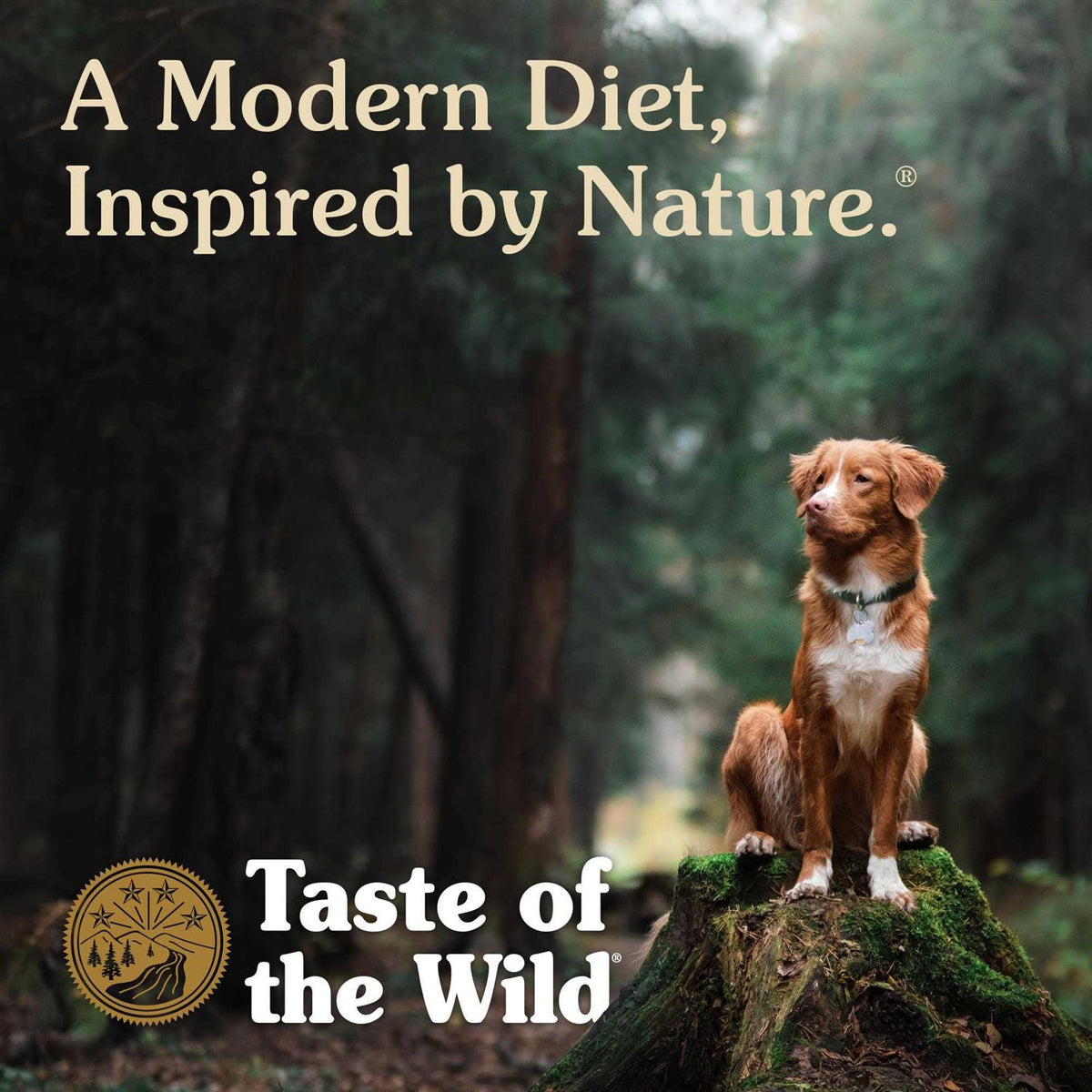 Smoked Salmon Dog Food Z33513