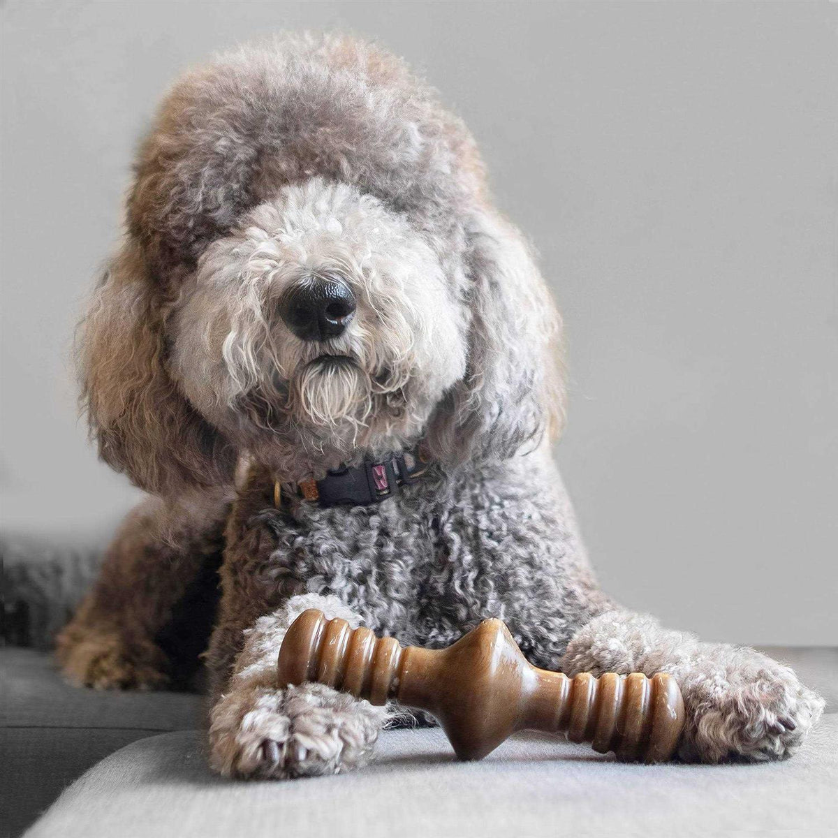 Chicken Dog Chew Toy D566381