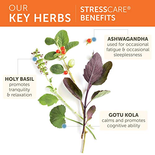 Herbal Supplement, Ashwagandha, Holy Basil, Gotu Kola, 240 Capsules M1538