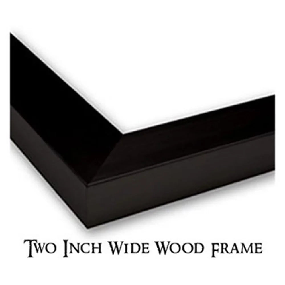Black Modern Framed Museum Art Print C882277