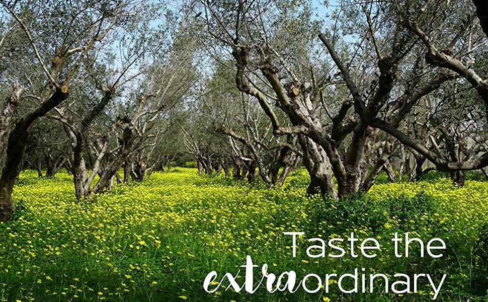 Greek Extra Virgin Olive Oil 3 Ltr Tin K702