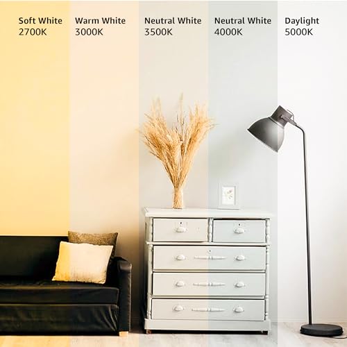 A19 LED Light Bulbs 60 Watt Equivalent 9W E26 Soft White 2700K Dimmable 6-Pack X59459