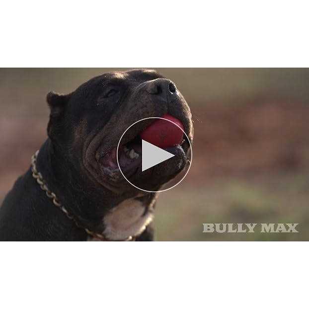 Dog Ball Toy for Aggressive Chewers T896502