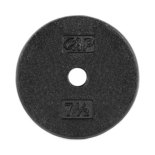 Cast Iron Standard 1-Inch Weight Plates T5197