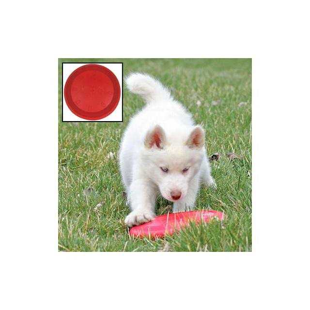Dog Toy U485