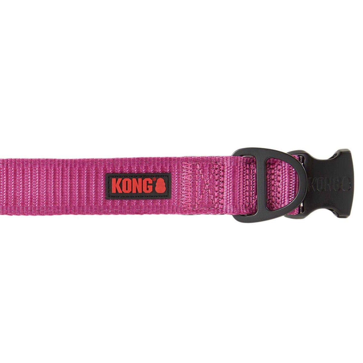 Dog Collar Z217