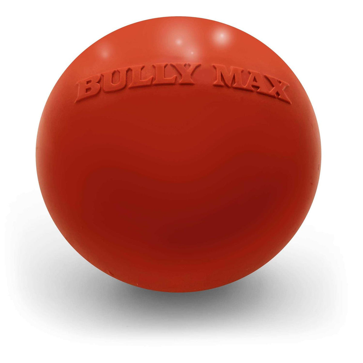 Dog Ball Toy for Aggressive Chewers T896502