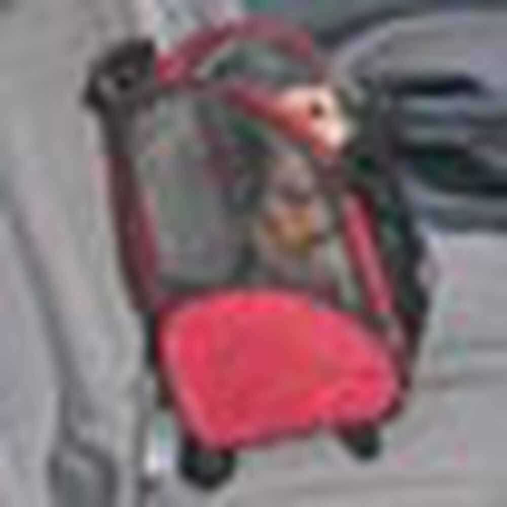Travel Pet Carrier J88304