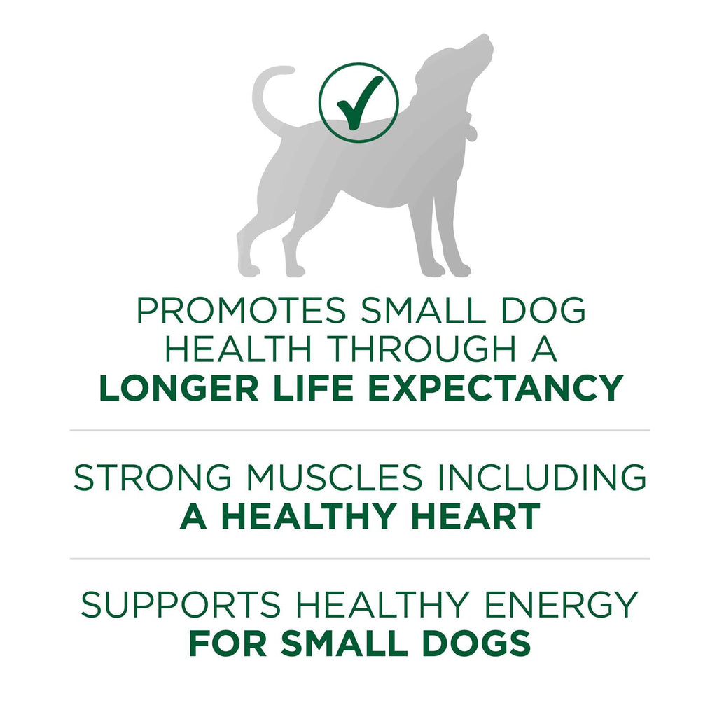 Lamb & Rice Small Breed Dry Dog Food Q92258