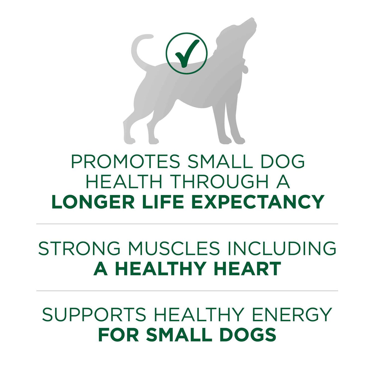 Lamb & Rice Small Breed Dry Dog Food Q92258