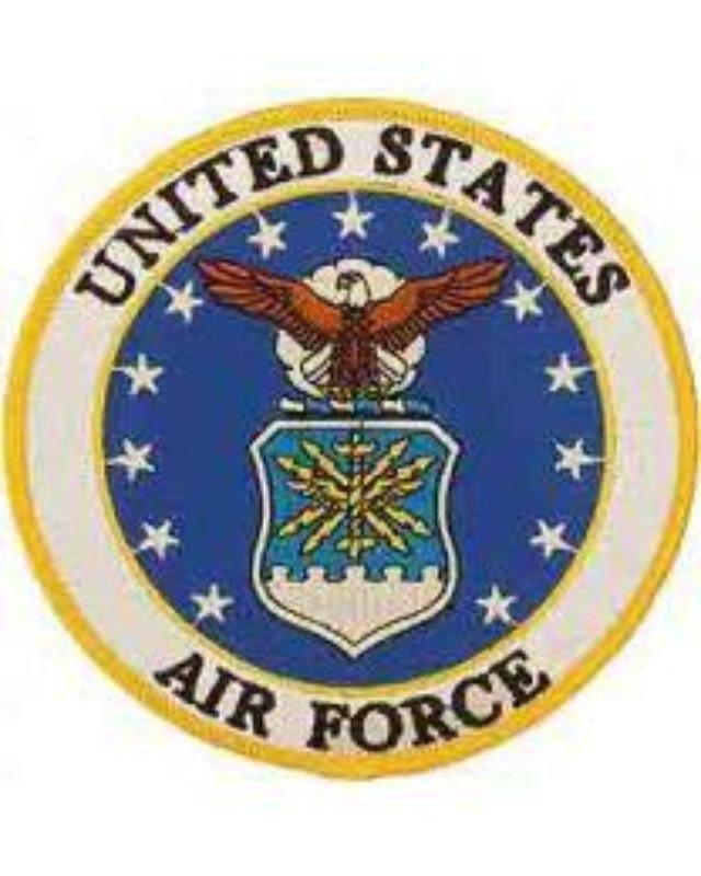 Eagle Fighter Patch O173878