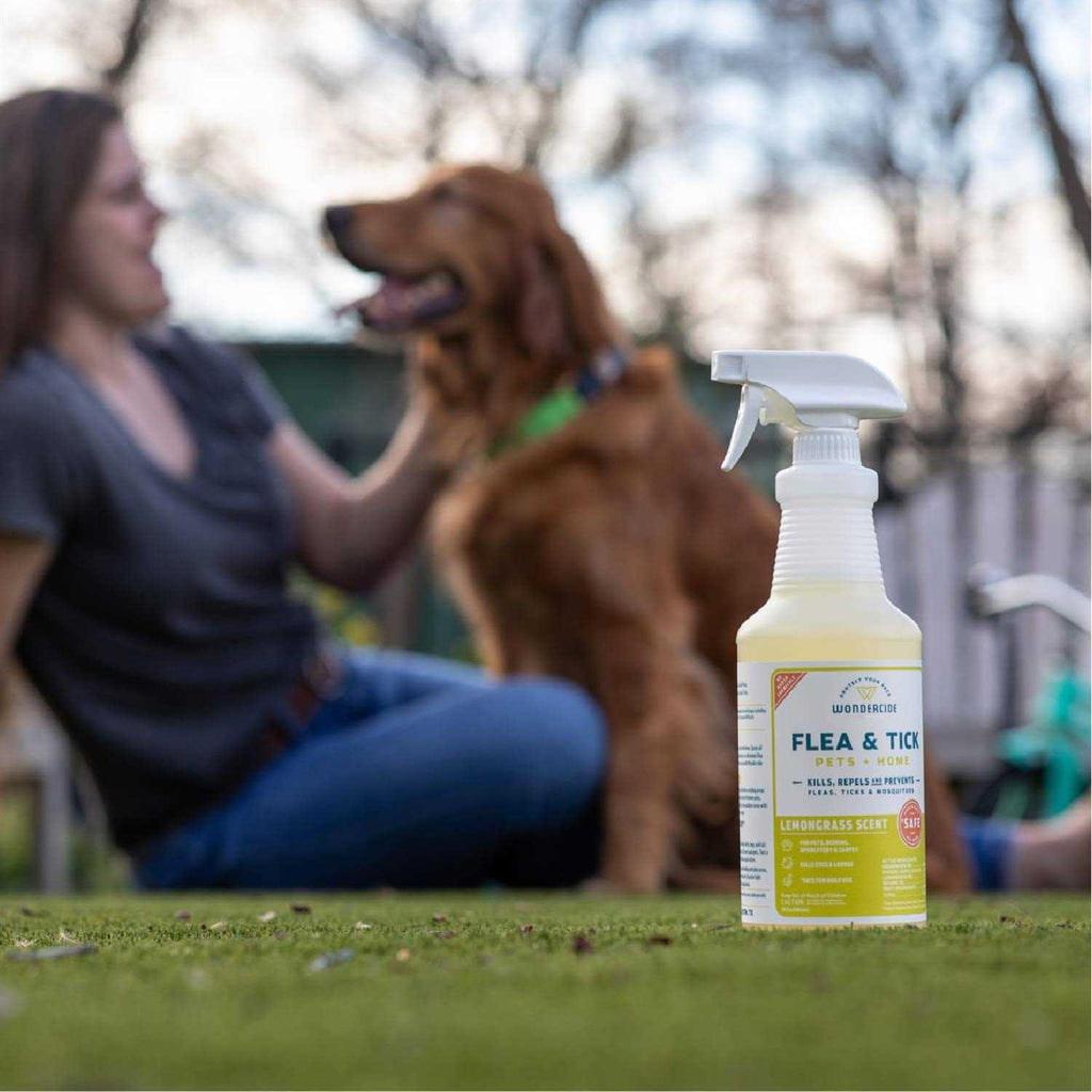 Flea & Tick Spray N40627