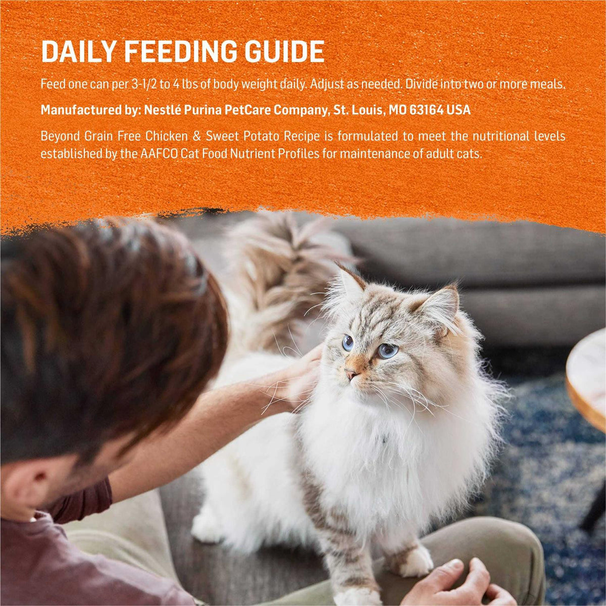 Grain-Free Wet Cat Food R1925