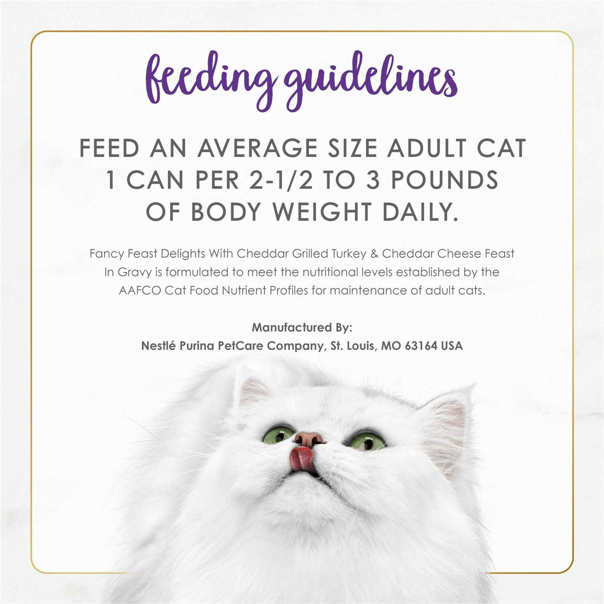 Wet Cat Food C97703