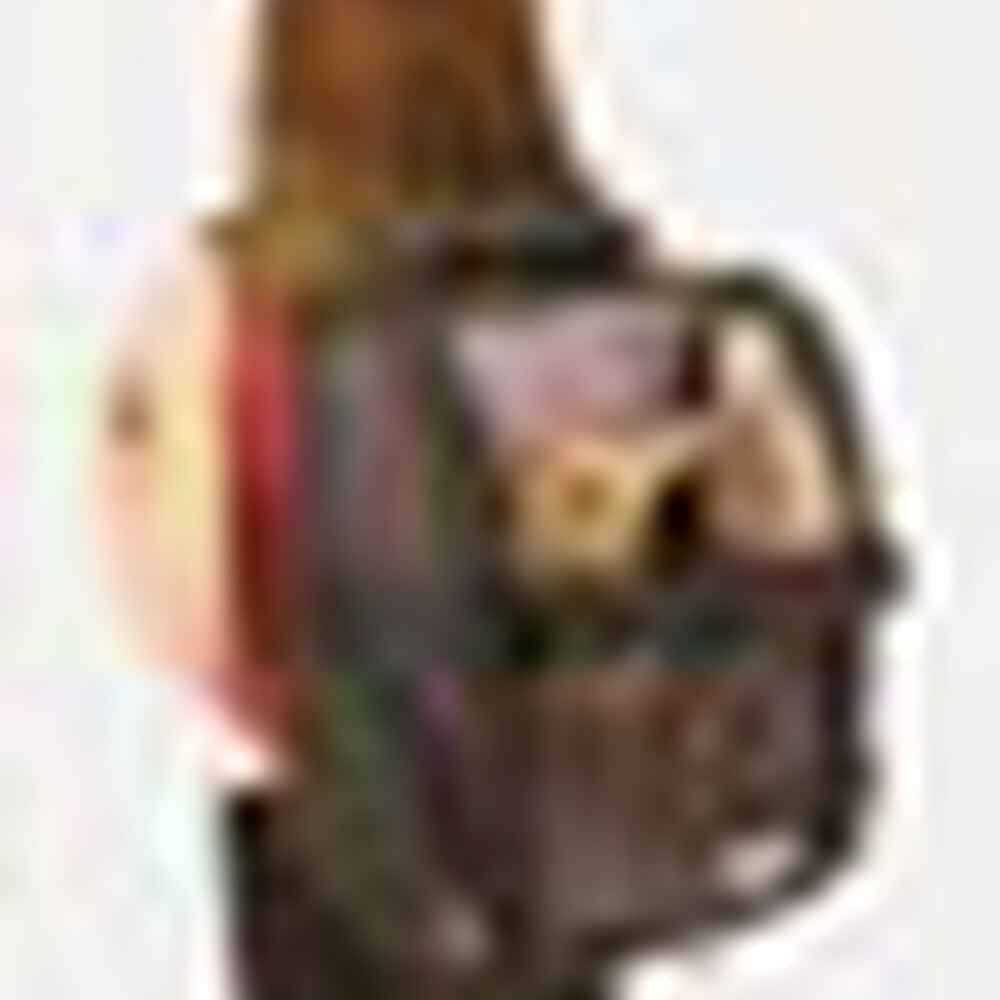 Travel Pet Carrier J88304