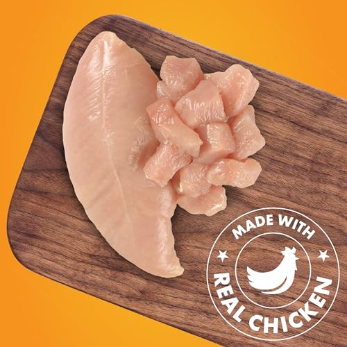 Chicken Jerky Dog Treats 16 oz L779522