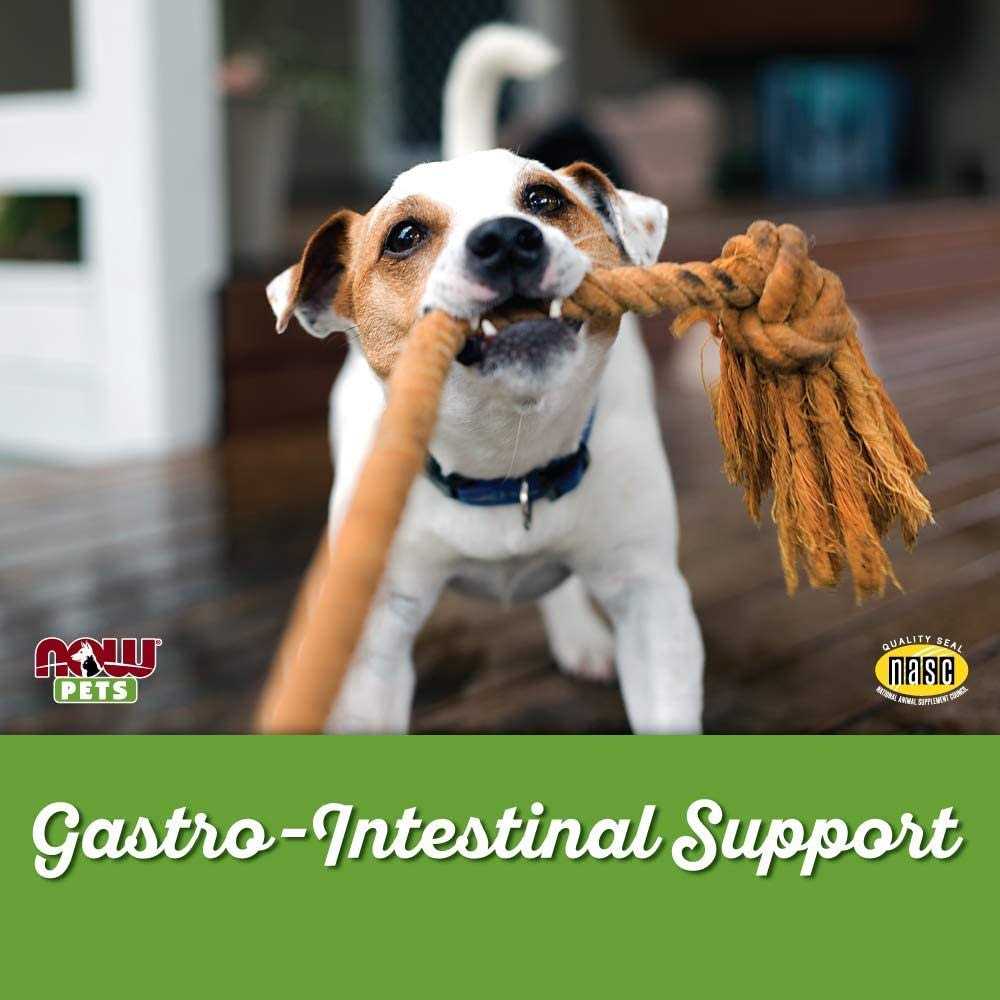 Pet Supplies R548695