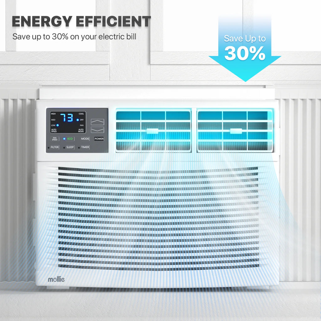 12,000 BTU 115V White Window Air Conditioner with Remote Control P493