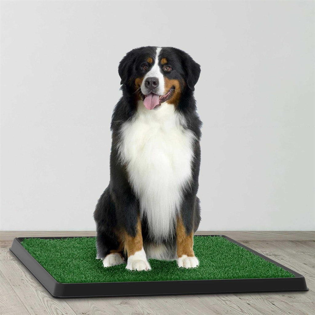 Artificial Grass Potty Trainer Mat Y12455