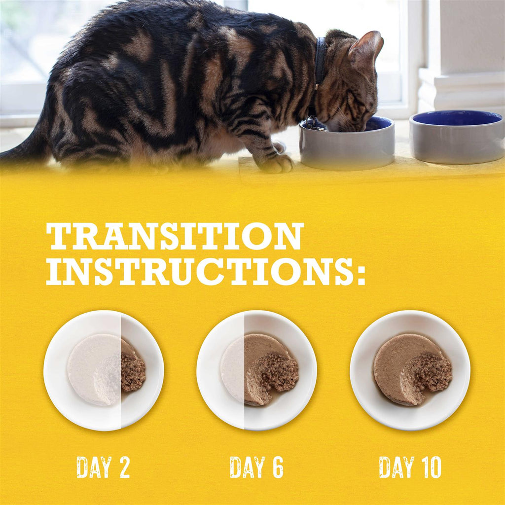 Grain-Free Wet Cat Food R1925
