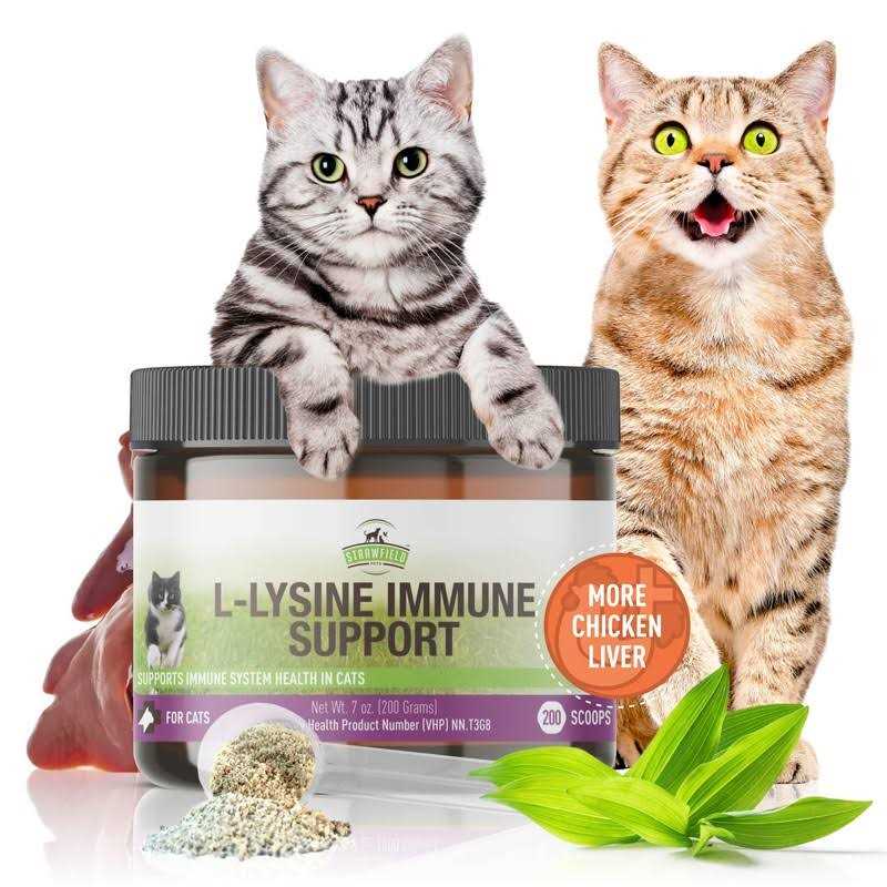 L-Lysine for Cats Supplement Powder Granules L643