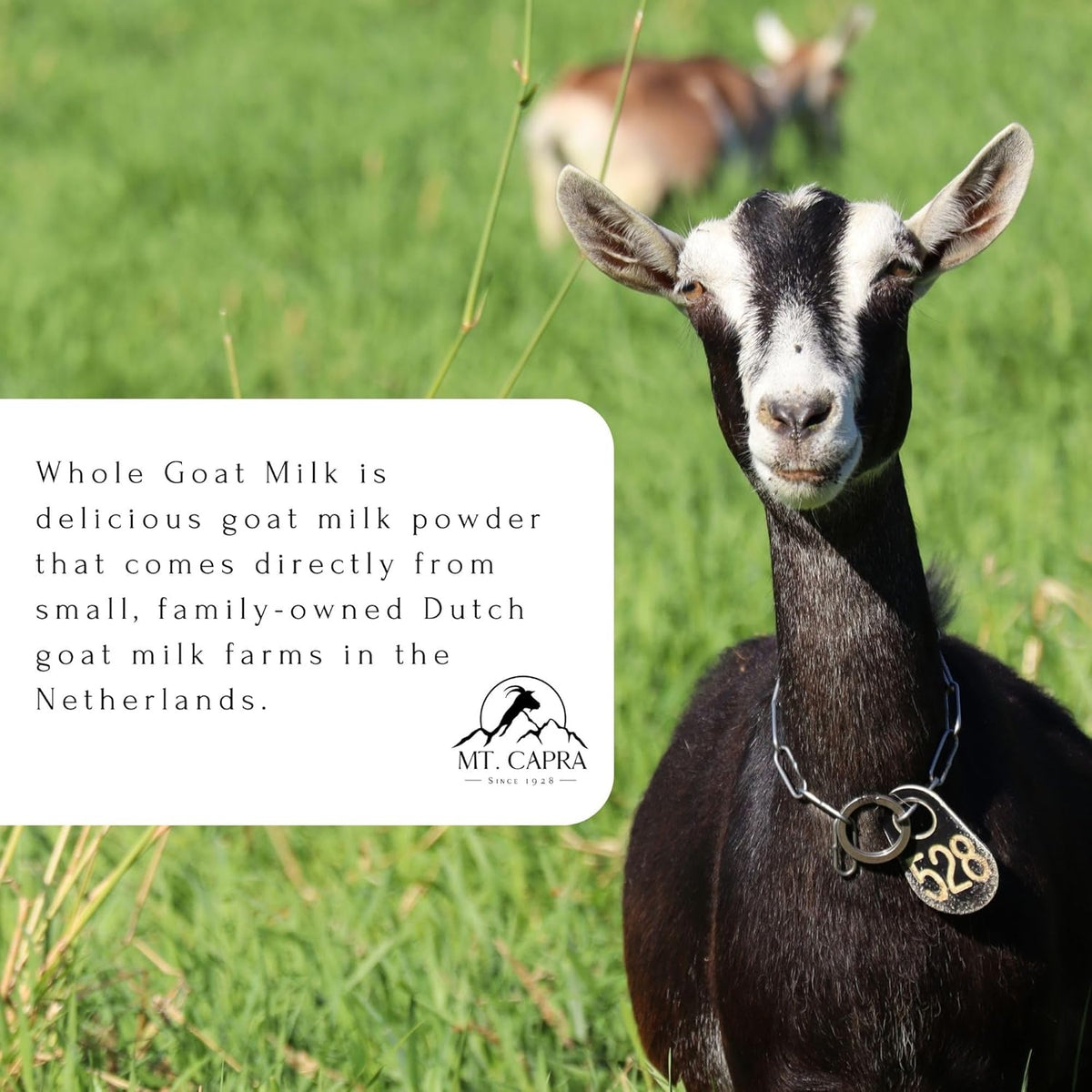 Whole Goat Milk Powder - 1 pound P396920