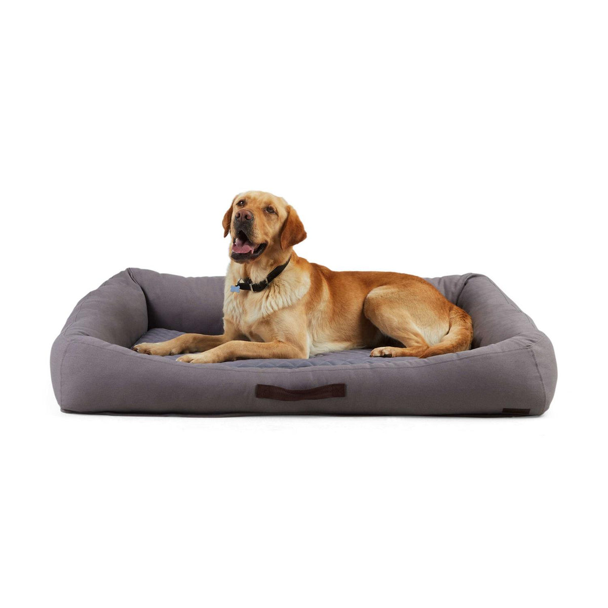 Dog Bed M122407