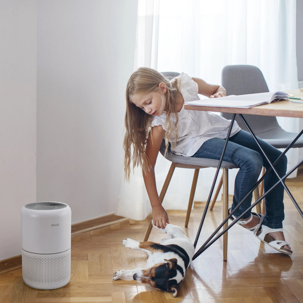 White True HEPA Air Purifier H5247