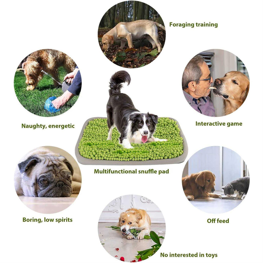 21x16Inch Snuffle Mat for Dogs K742336