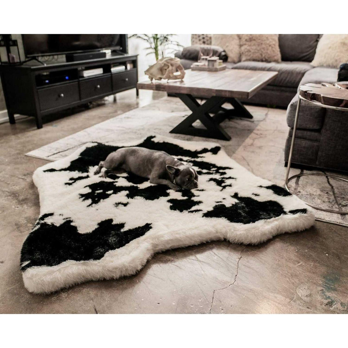 Animal Print Memory Foam Dog Bed O75933