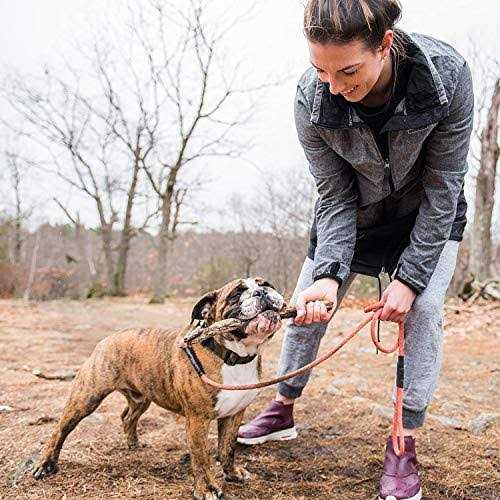Grain-Free Dry Dog Food T435429