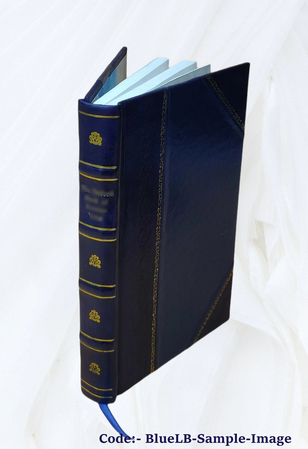 Leather Bound Book O554