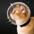 Transparent Breathable Cat Muzzle M Size S1188
