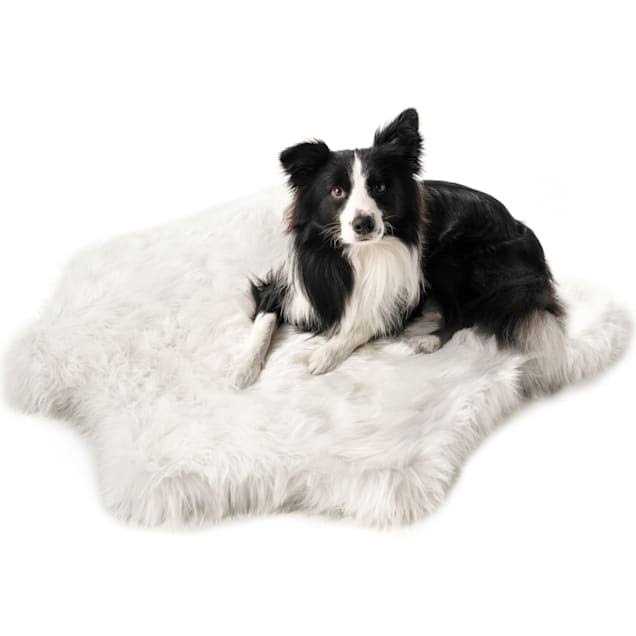 Animal Print Memory Foam Dog Bed O75933
