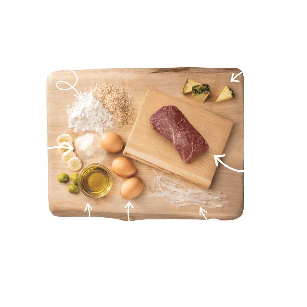 No Hide Strips P4620