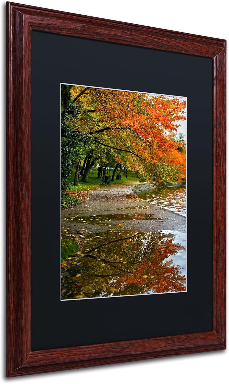 Black Matte Artwork, 16 by 20-Inch, Wood Frame O476429